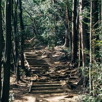 弗拉德和尼基钢琴游戏下载